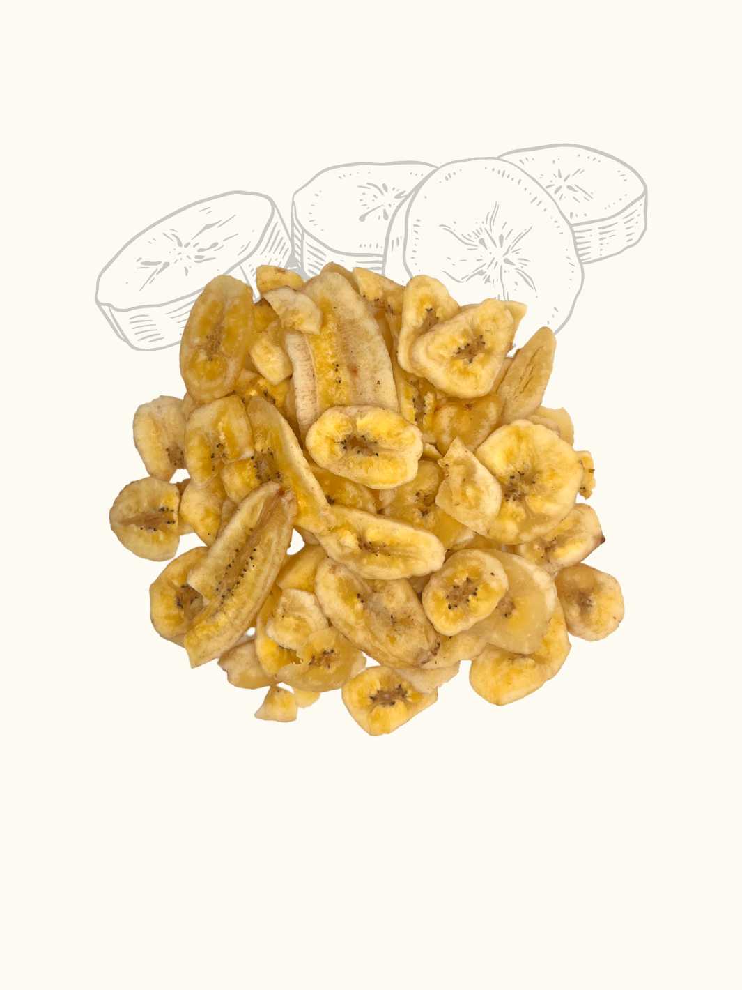 Truffe Délice - Wholesale Pet treats – Dog - Banana treats1