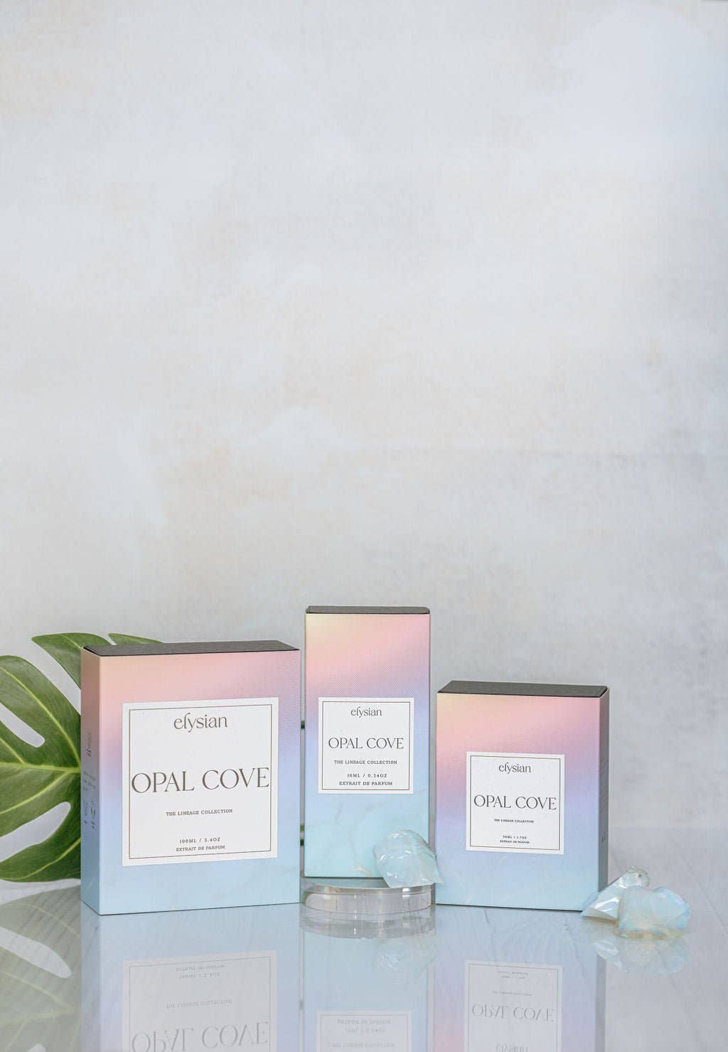 Elysian Parfum – Großhandel Parfüm/Eau de Toilette – Opal Cove7