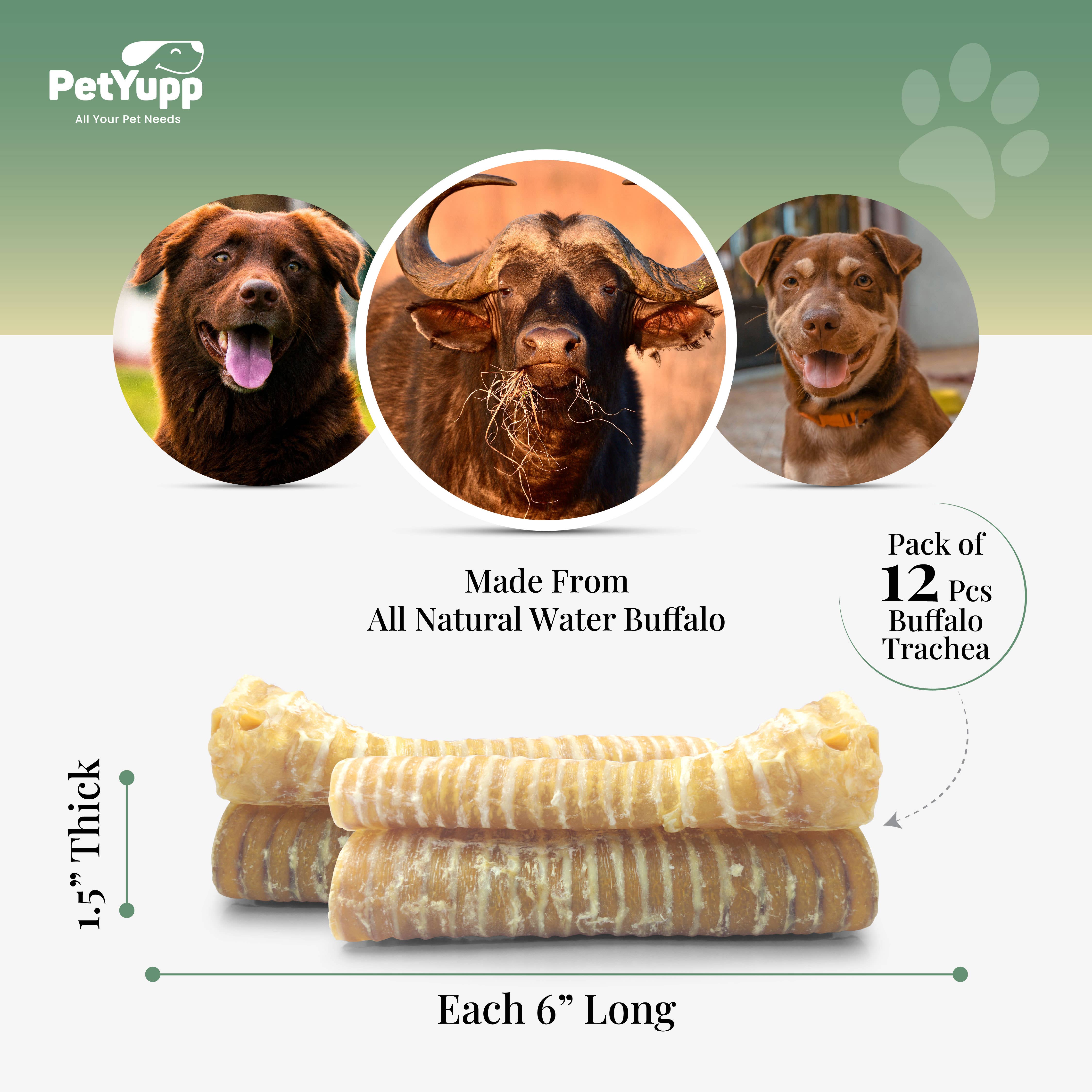 PetYupp - Wholesale Pet Treats - Dog - 100% Natural Water Buffalo Trachea Dog Chew - 6 Inch - 12 Count3