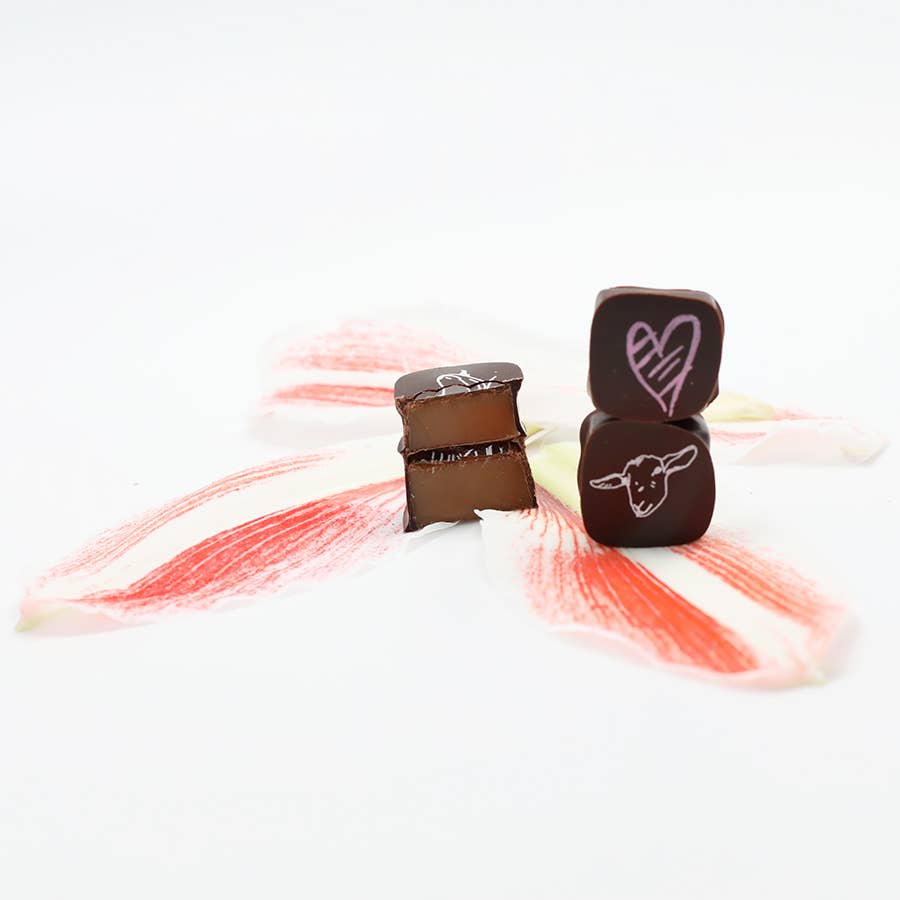 Big Picture Farm - Wholesale Chocolate Covered Sweets - Chocolate Covered Goat Milk Caramel with Hearts (Valentine)2