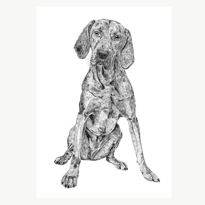 Vizsla A4 Skriv ut för wholesale av Ros Shiers