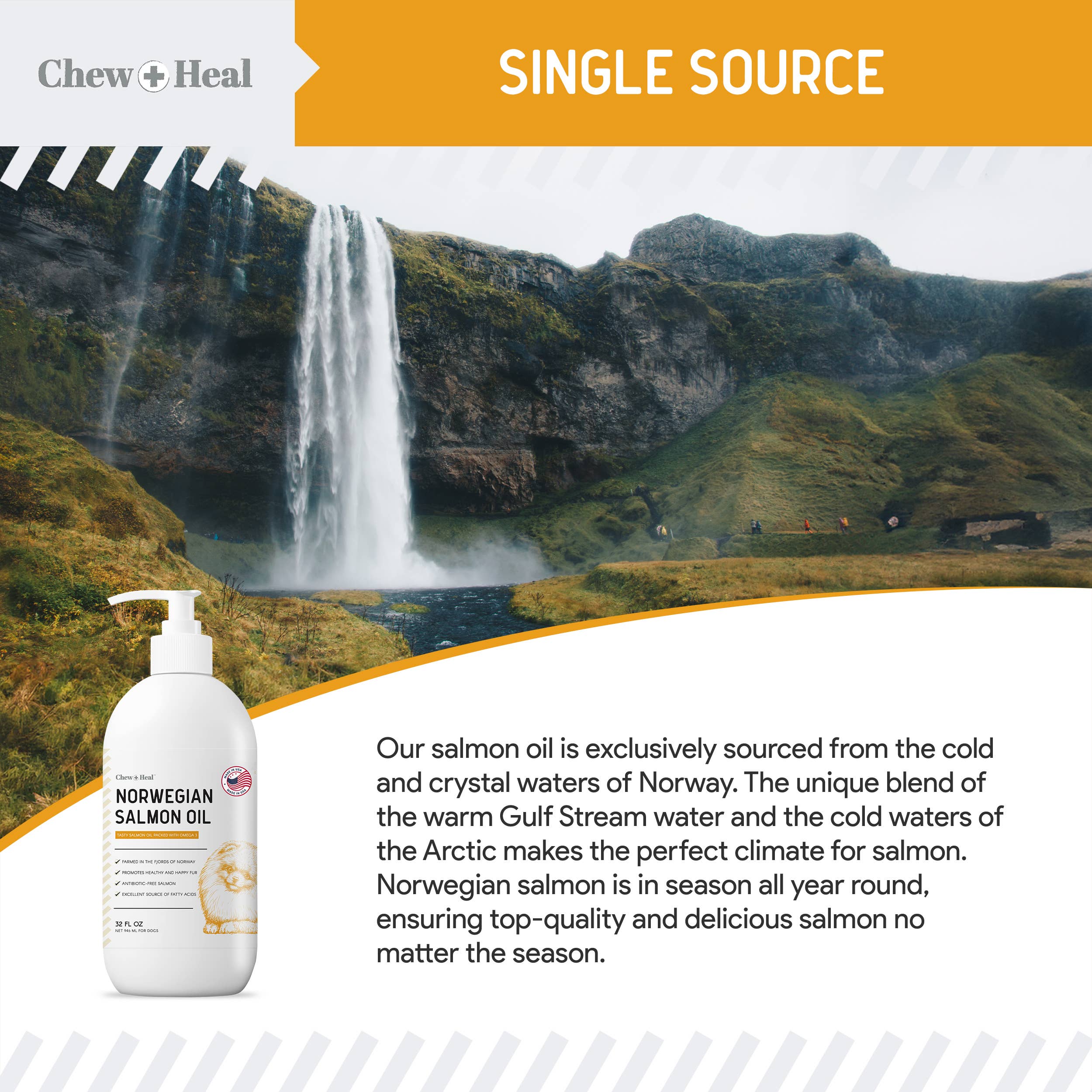 Chew + Heal - Wholesale Pet Supplement - Dog - Norwegian Salmon Oil Skin & Coat Supplement for Dogs & Cats6