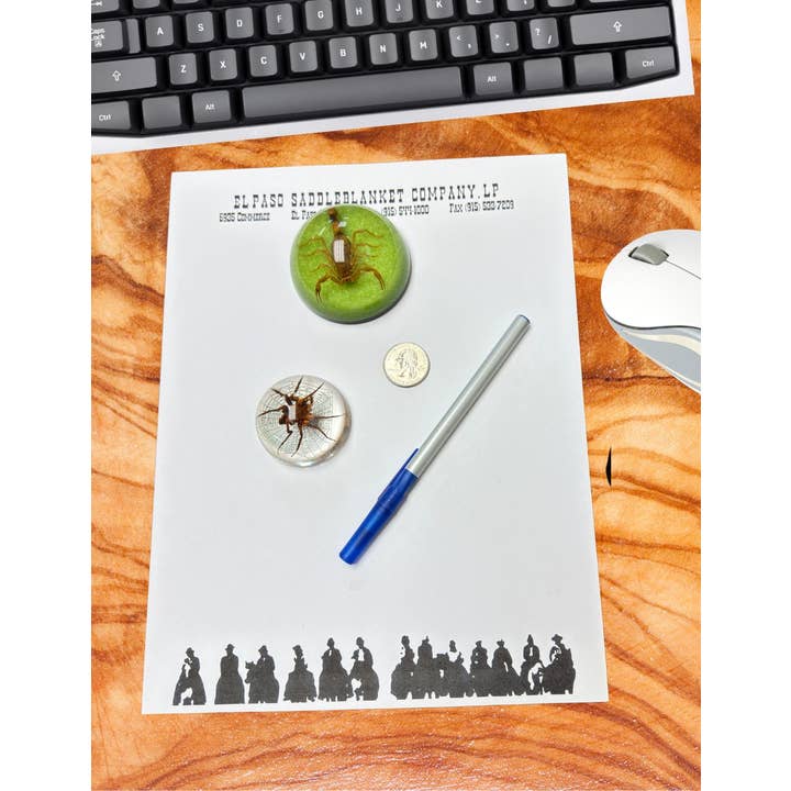 El Paso Saddleblanket - Wholesale Paper Weight - Small Half Dome Spider Paperweight1