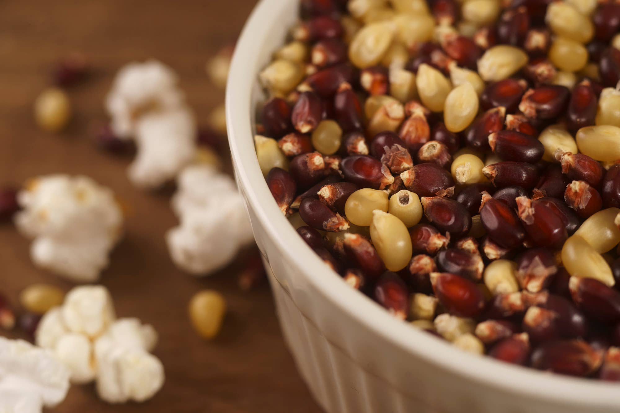 Seven Forks Farm - Wholesale Popcorn - Fireside Blend 12oz. bag1