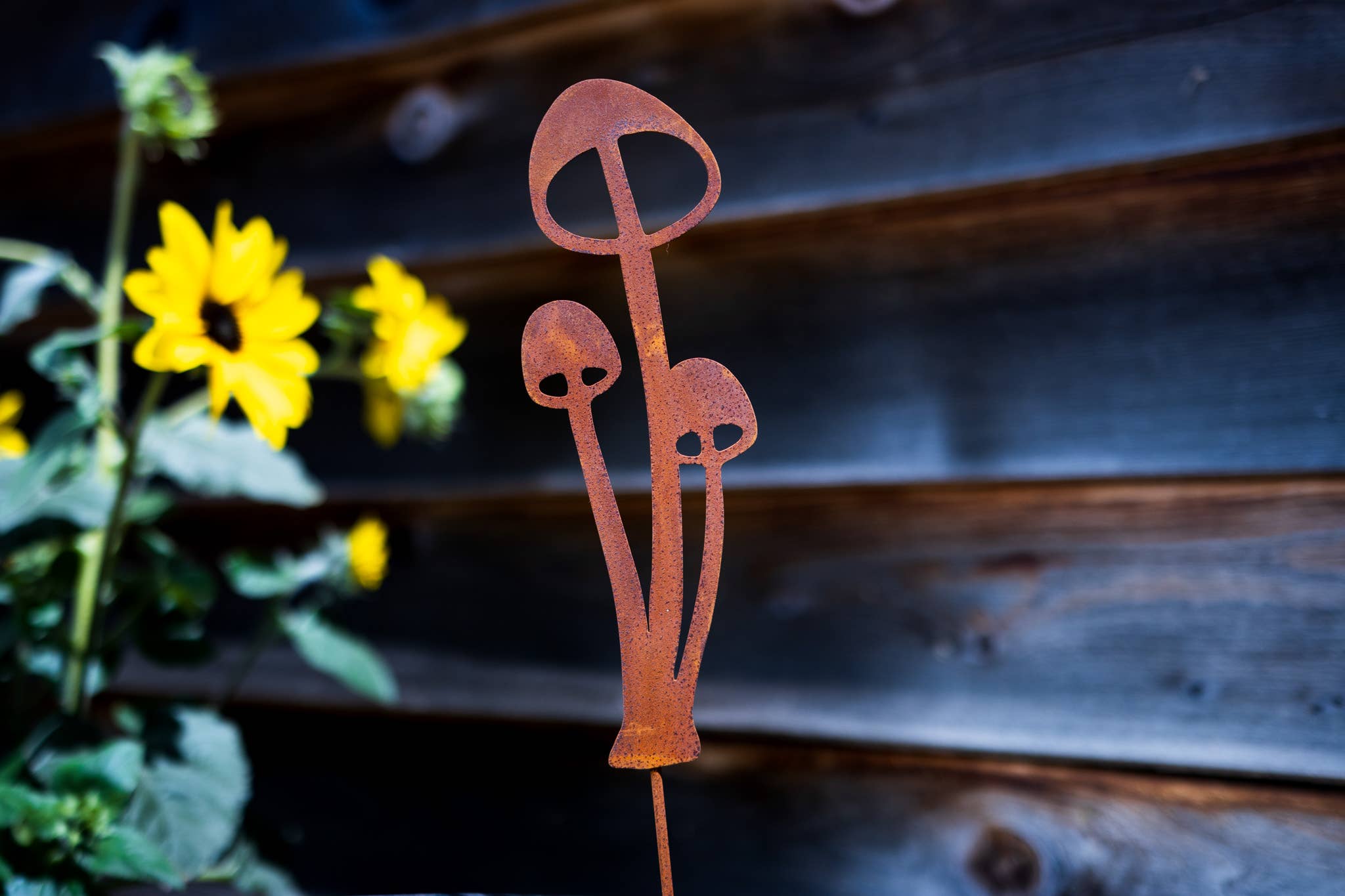 Elegant Garden Design - Vente Piquets de jardin/pelouse - Piques à champignons - Lot de cinq6