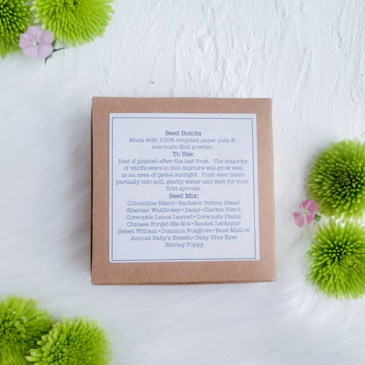 Franky and J. Designs - Wholesale Plant seeds - Ombre Seed Balls 2