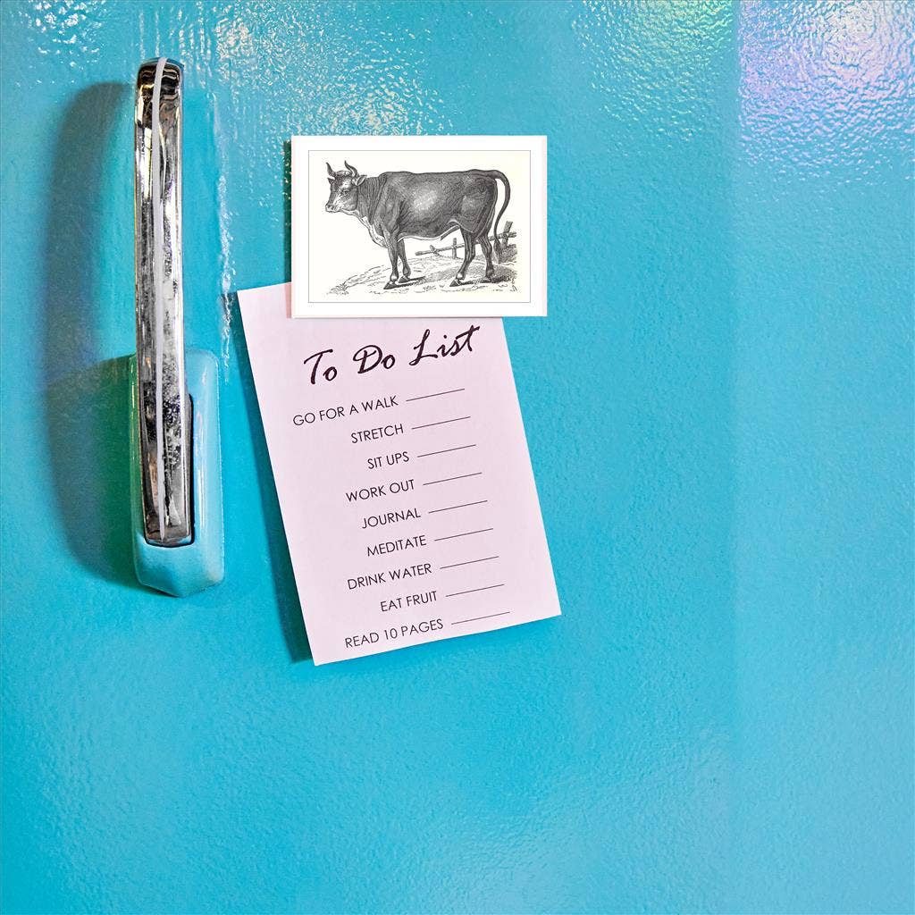 Found Image Press - Wholesale Magnet - Magnet AN-316 Steer1