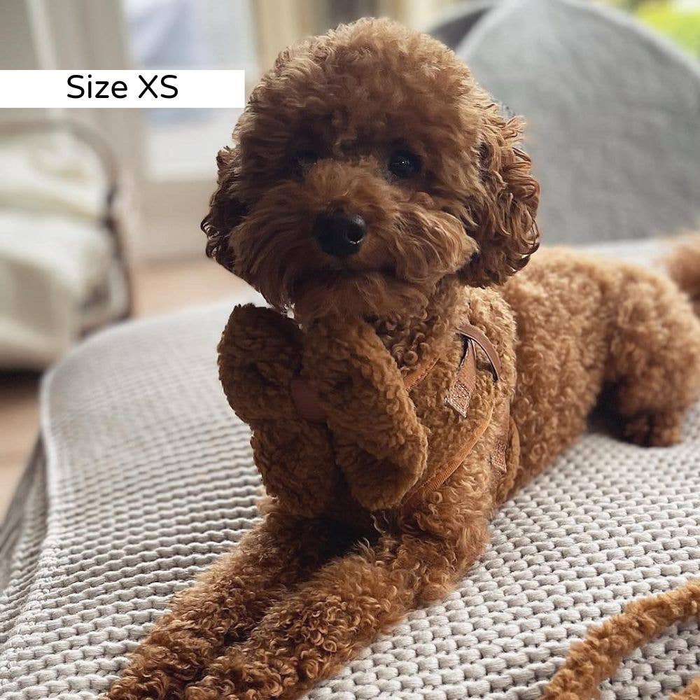 Trufois - Vendita all'ingrosso Pettorina - Cani - Imbracatura Teddy Lite - Cioccolato2