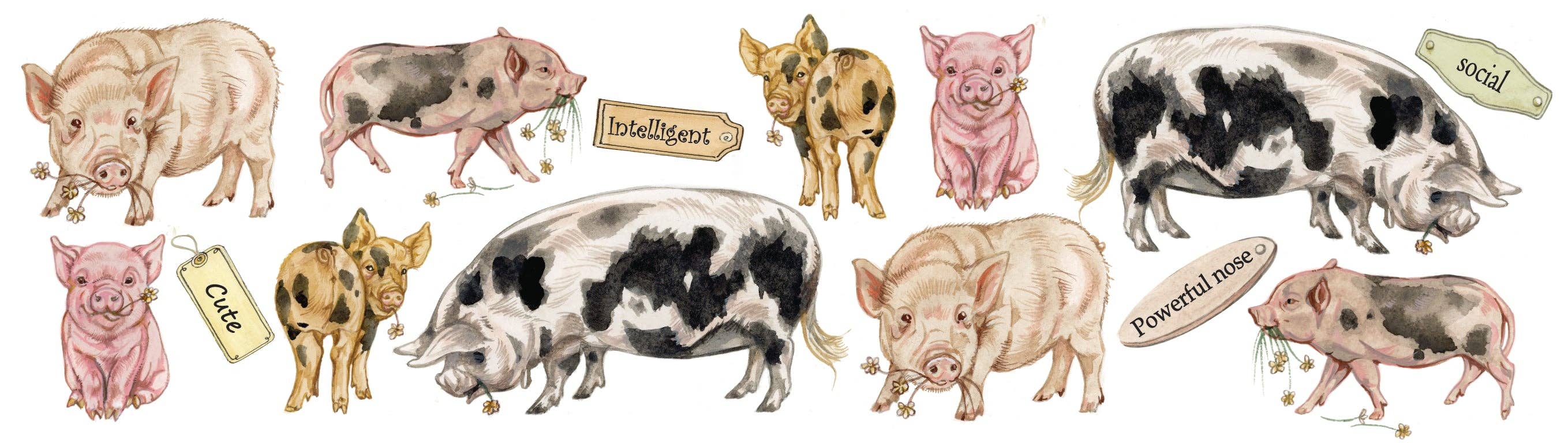 Animal Prints - Wholesale Coffee Mug - Mugs with collage - Pig - design 22