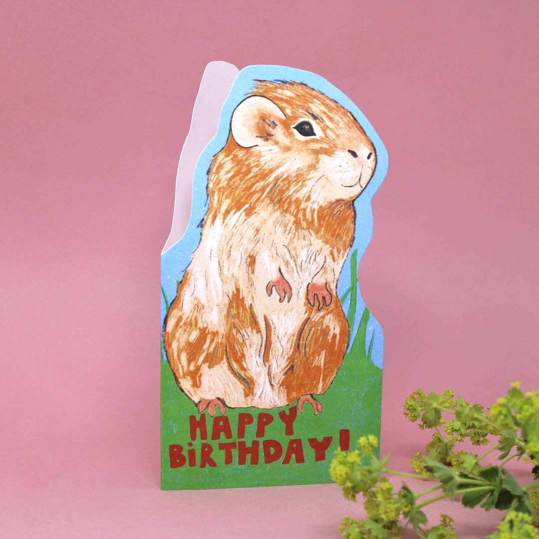 Ark Colour Design - Venta al por mayor Tarjetas de cumpleaños - Tarjeta de felicitación con forma de cobaya1
