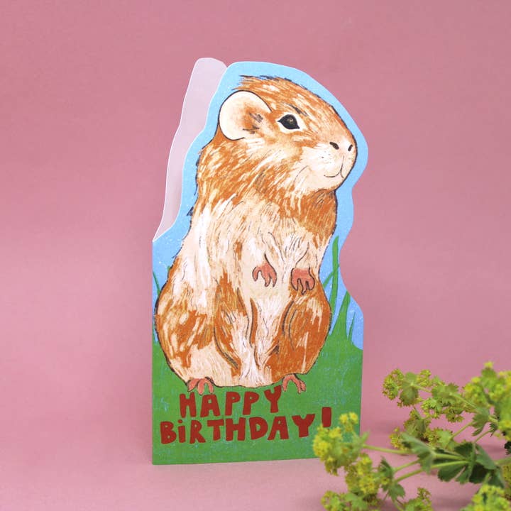 Ark Colour Design - Venta al por mayor Tarjetas de cumpleaños - Tarjeta de felicitación con forma de cobaya1
