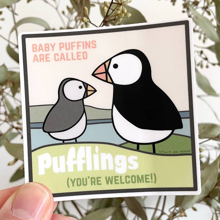 Autocollant Bébé Macareux pour la vente par Stuck On Good Design