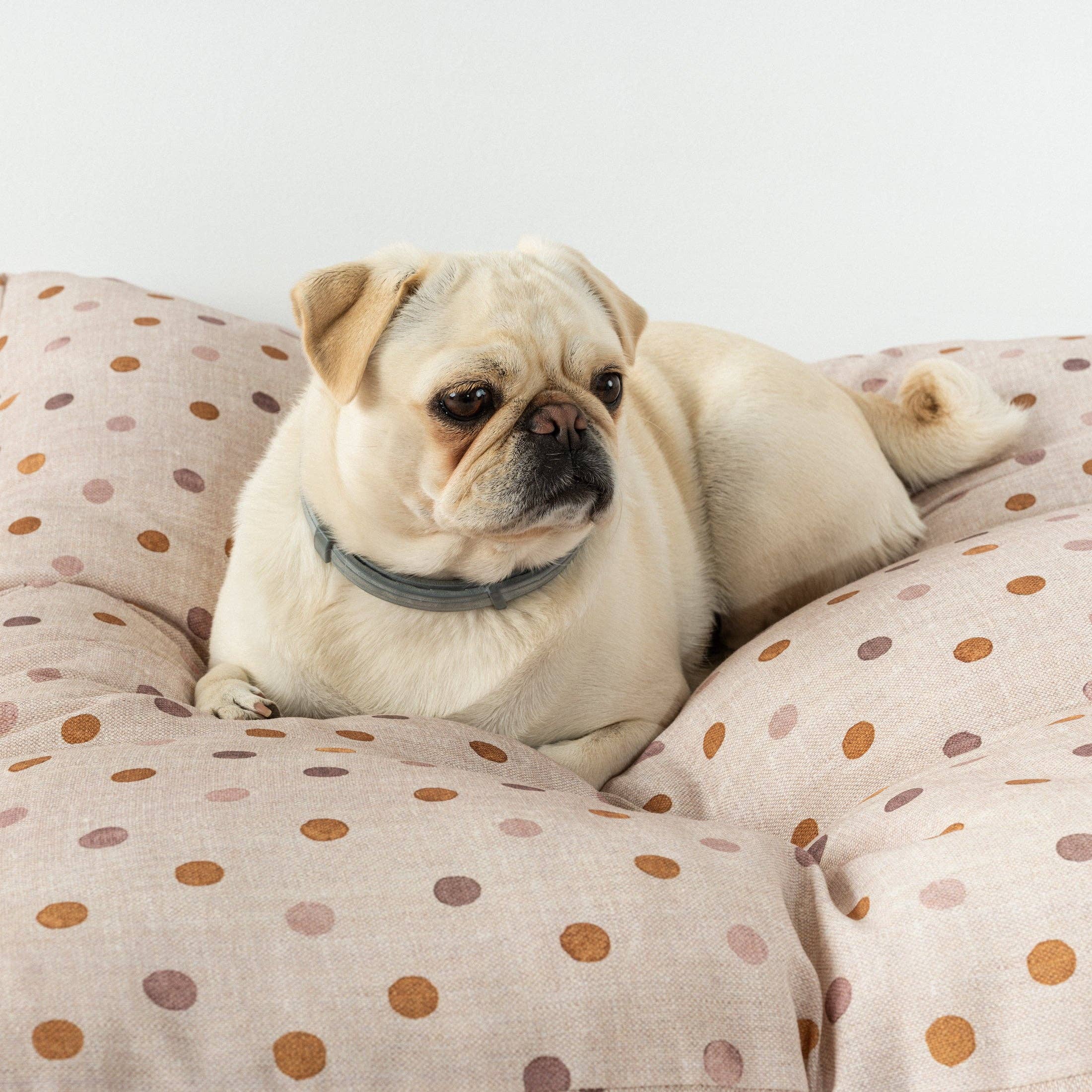 SG HOGAR - Vente Lit – chat et chien - Lit épais et rembourré pour chiens et chats, coton 100 % résistant aux taches pour animaux 0120-3052