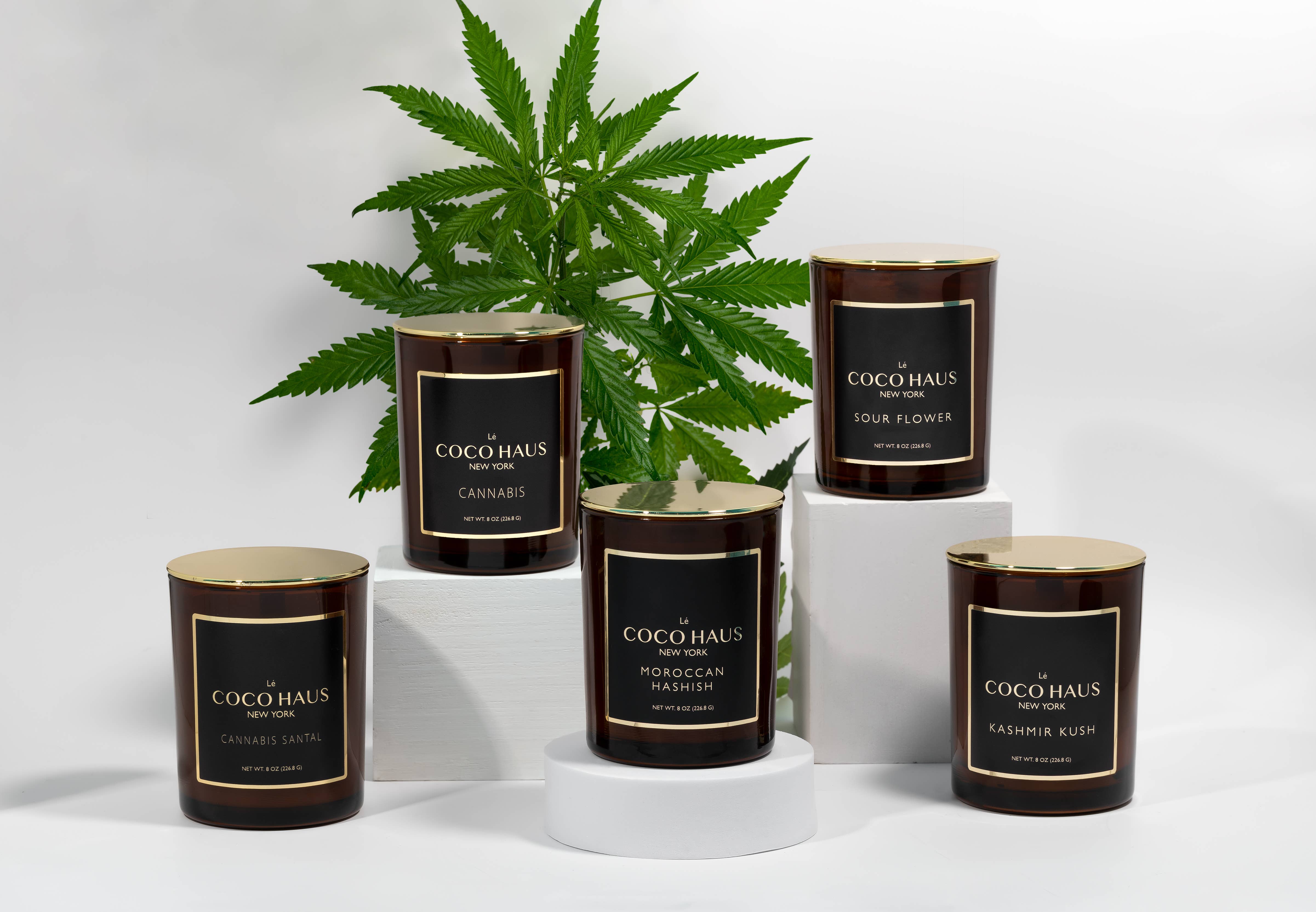 Lé COCO HAUS - Wholesale Jar/Filled Candle - Cannabis Collection Variety Pack0