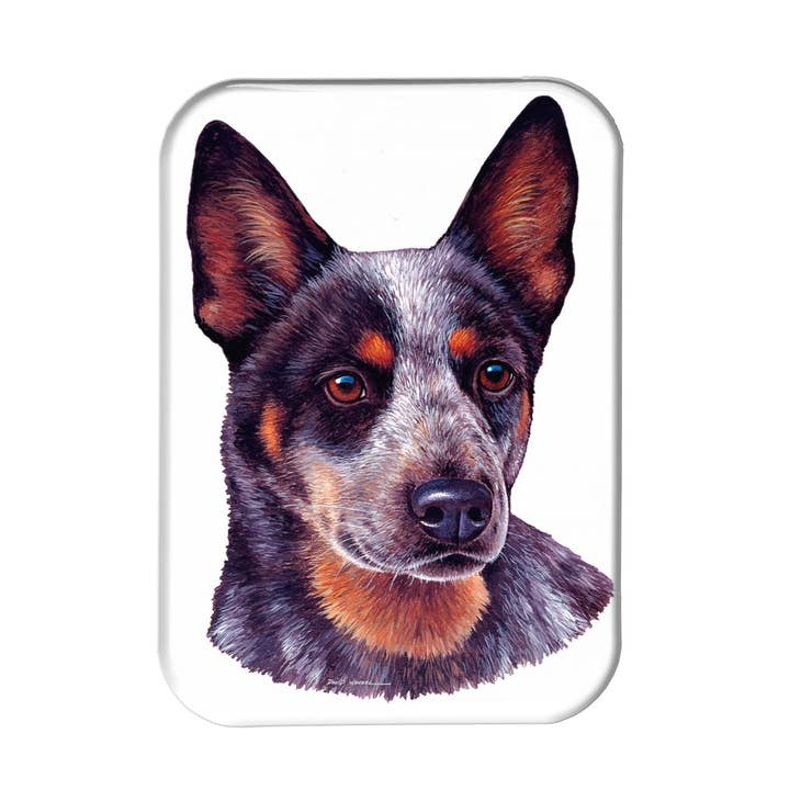 "Australian Cattle Dog" - 2.5" X 3.5" Rectangle Fridge Magnets for wholesale by Airstrike