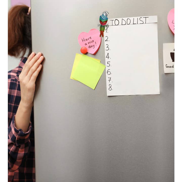 Cota Global - Wholesale Magnet - Sparkling Magnets - Parrot6