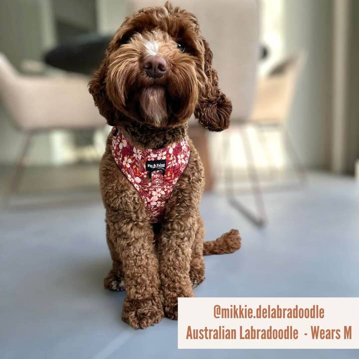 Pip and Palms - Wholesale Pet Harness - Dog - Dog Harness Fallen Flowers5