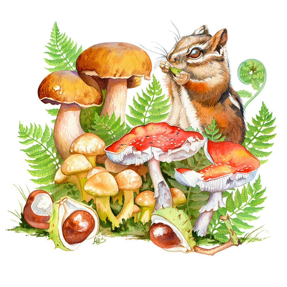 Rocky Nook – wholesale Arts and entertainment – 101 Watercolor Secrets9