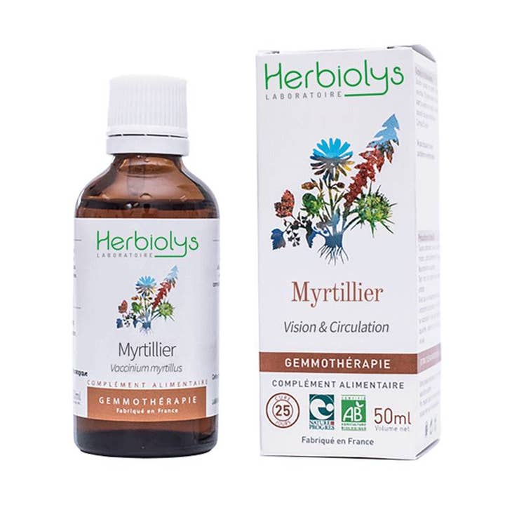 Blåbärsbuske Gemmoterapi för wholesale av Herbiolys