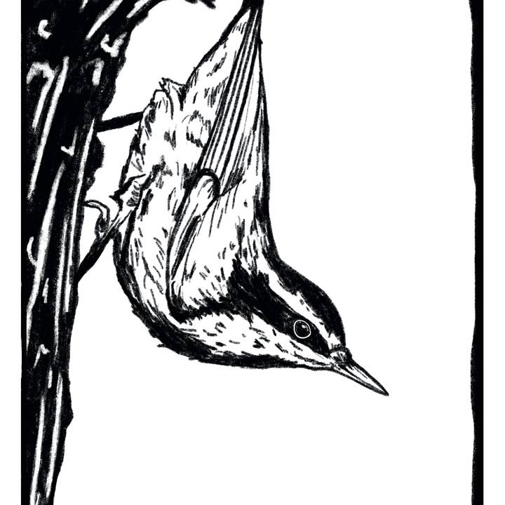 bclockerart - Wholesale Coloring & Activity Book - Kids & Baby - Forest Friends Coloring book7