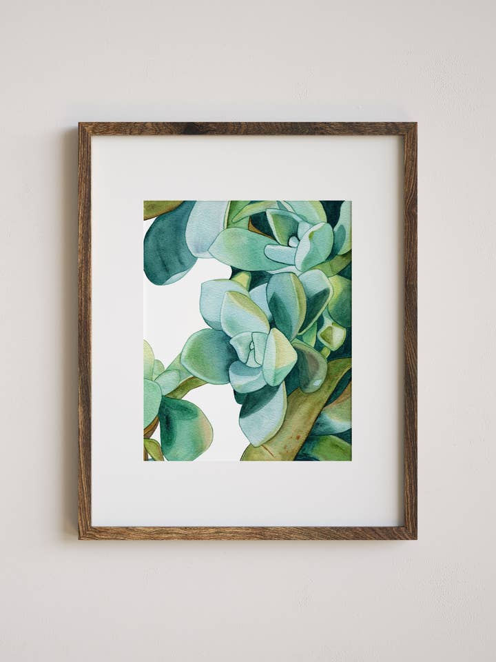 From the Ground Succulent Art Print for wholesale by Jradartdesign