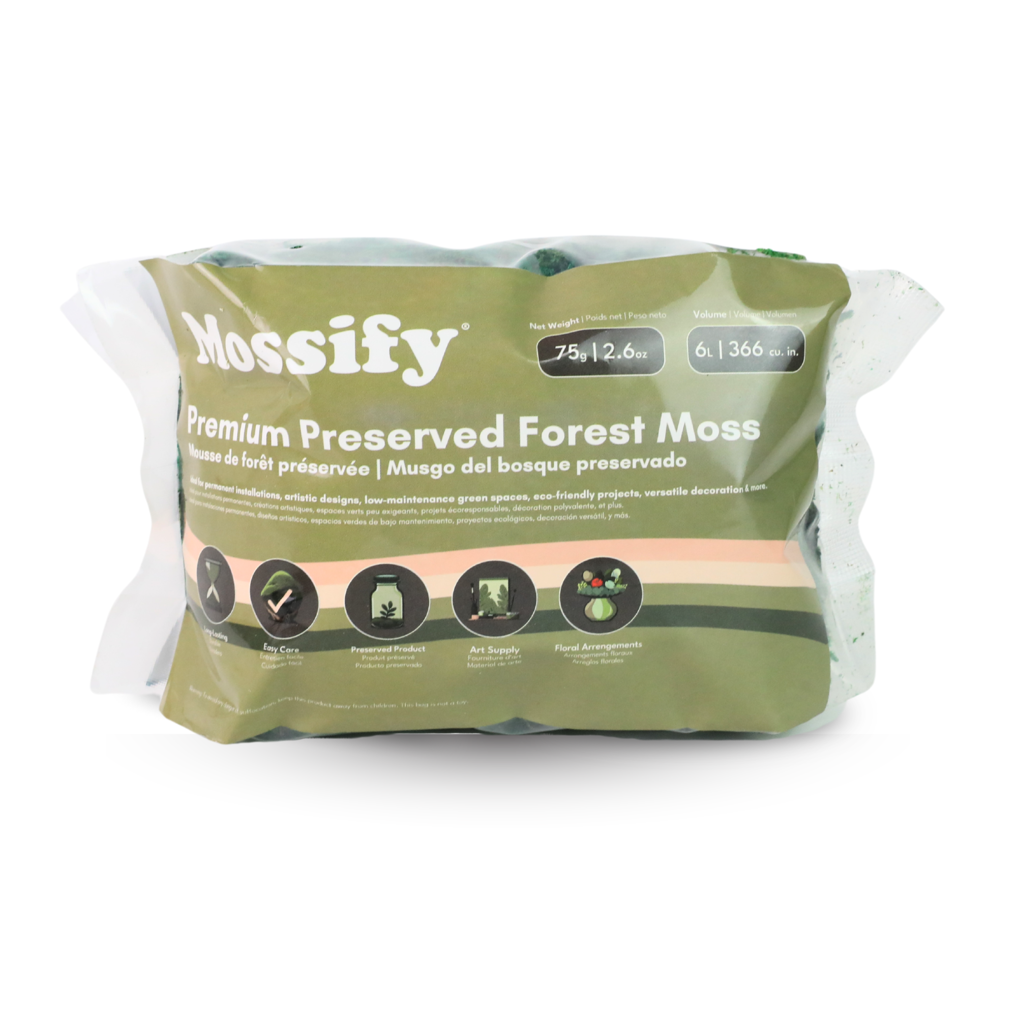Mossify - Wholesale Live Plant - Premium Preserved Forest Moss – Décor & Design Material4