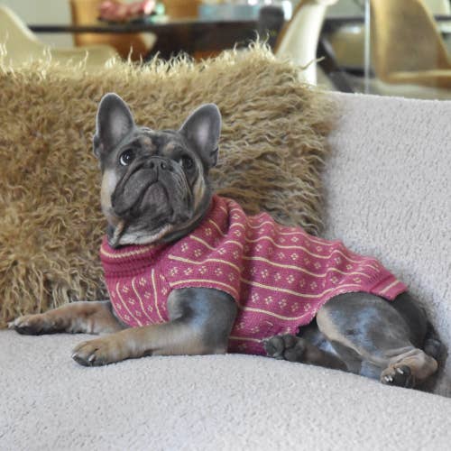 Finnegan’s Standard Goods - Wholesale Pet Sweater - Dog - Tahoma Sweater 3