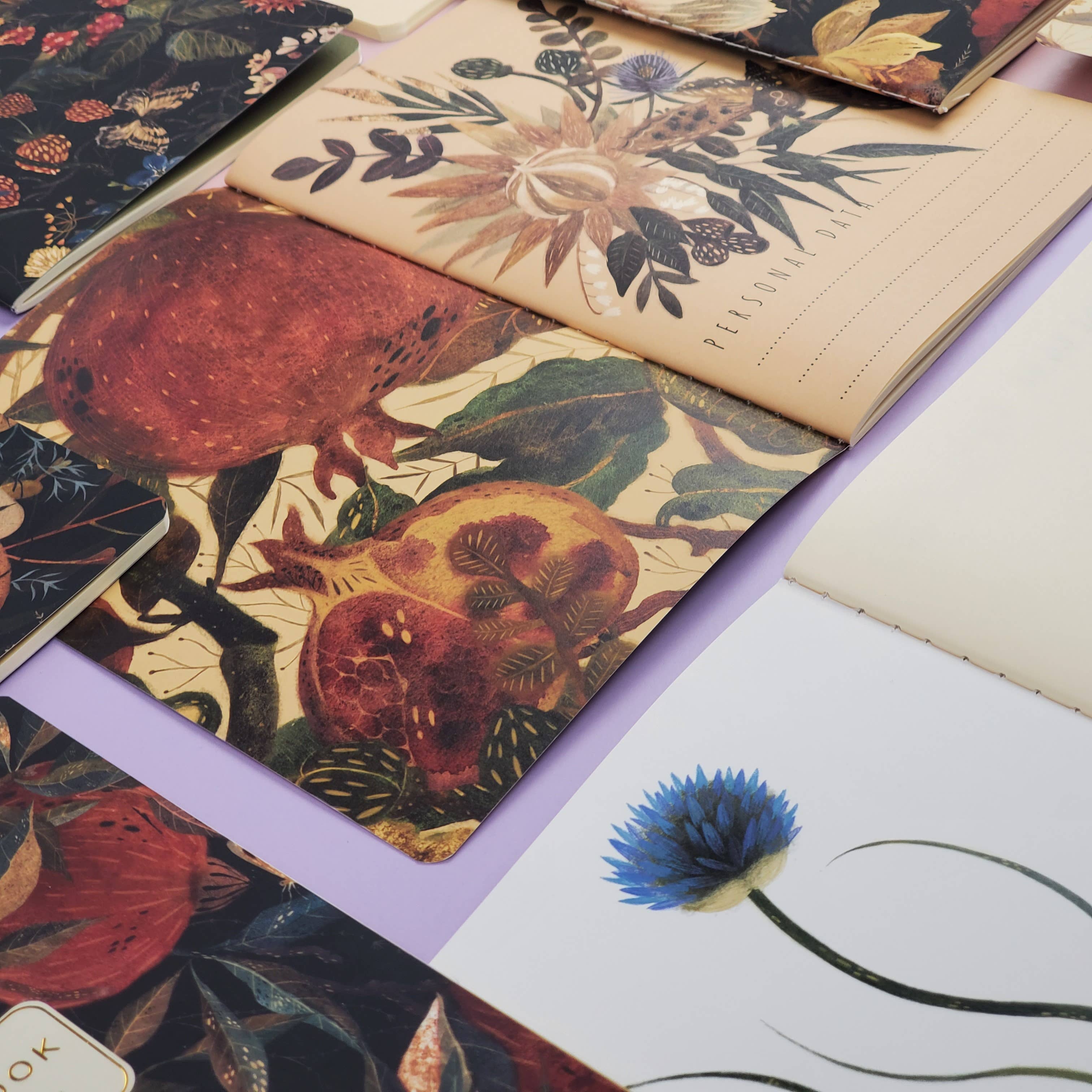 BV by Bruno Visconti - Wholesale Notebook - Figs Notebook8