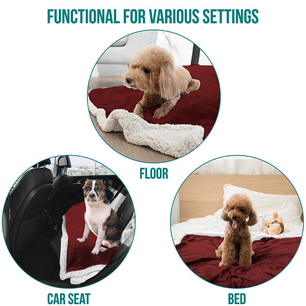 PetAmi - Vente Couverture – chat et chien - Couverture pour animaux en polaire réversible59