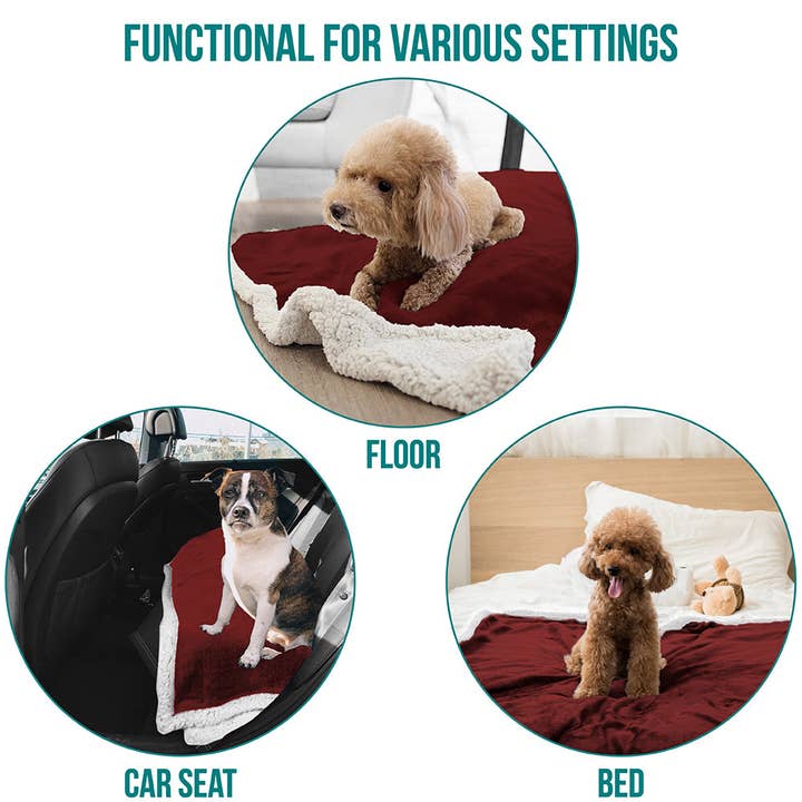 PetAmi - Wholesale Pet blanket – Cat/dog - Waterproof Fleece Pet Blanket63