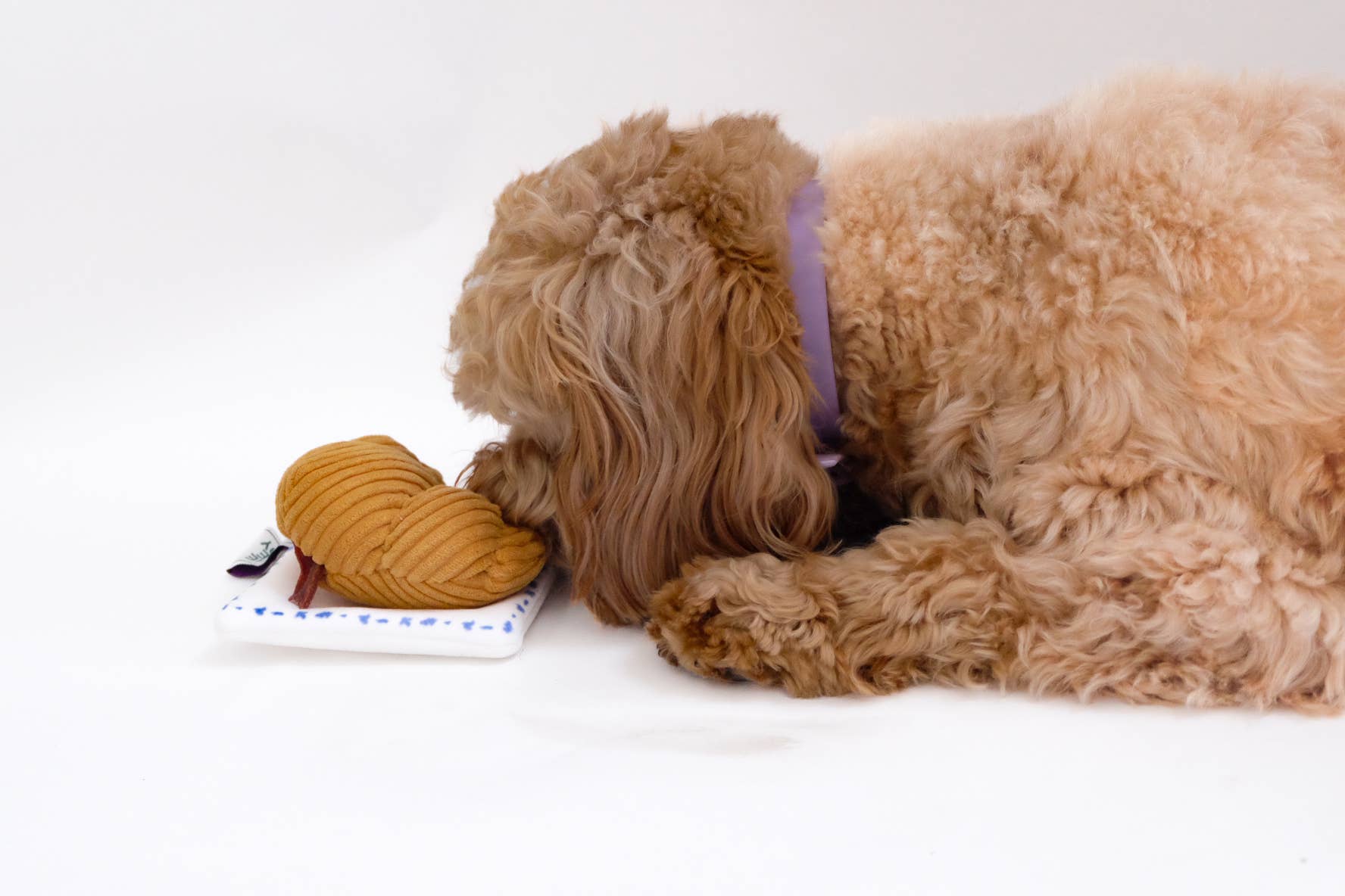 Come Here Buddy - Wholesale Pet plush toy – Dog - Croissant Nose Work Toy / Enrichment Toy3