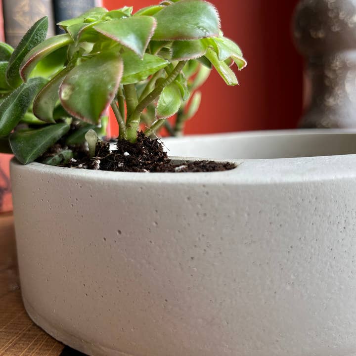 Nora - Vendita all'ingrosso Vasi per piante - Vaso circolare moderno5