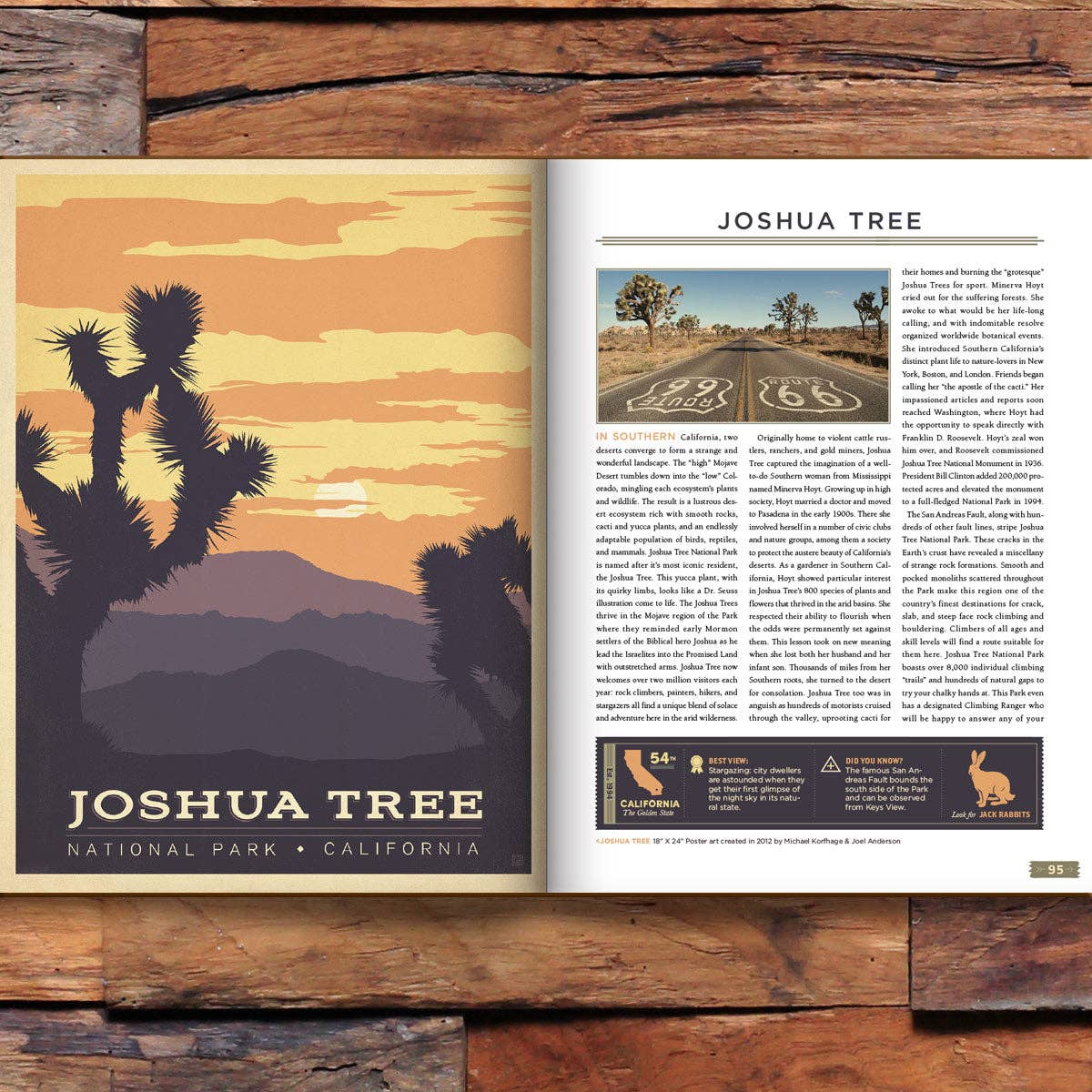 Anderson Design Group - Wholesale Display Book - 63 National Parks: Updated Edition HARD COVER Coffee Table Book (Best Seller!)7