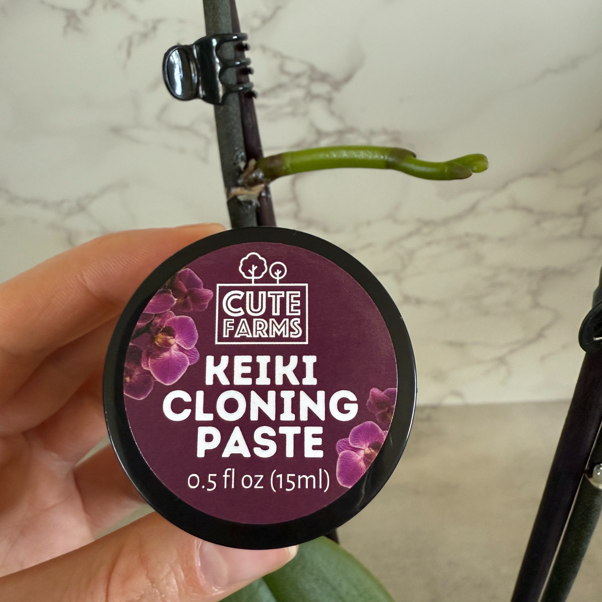 Cute Farms - Wholesale Live Plant - Keiki Cloning Paste for Orchids & Houseplants3