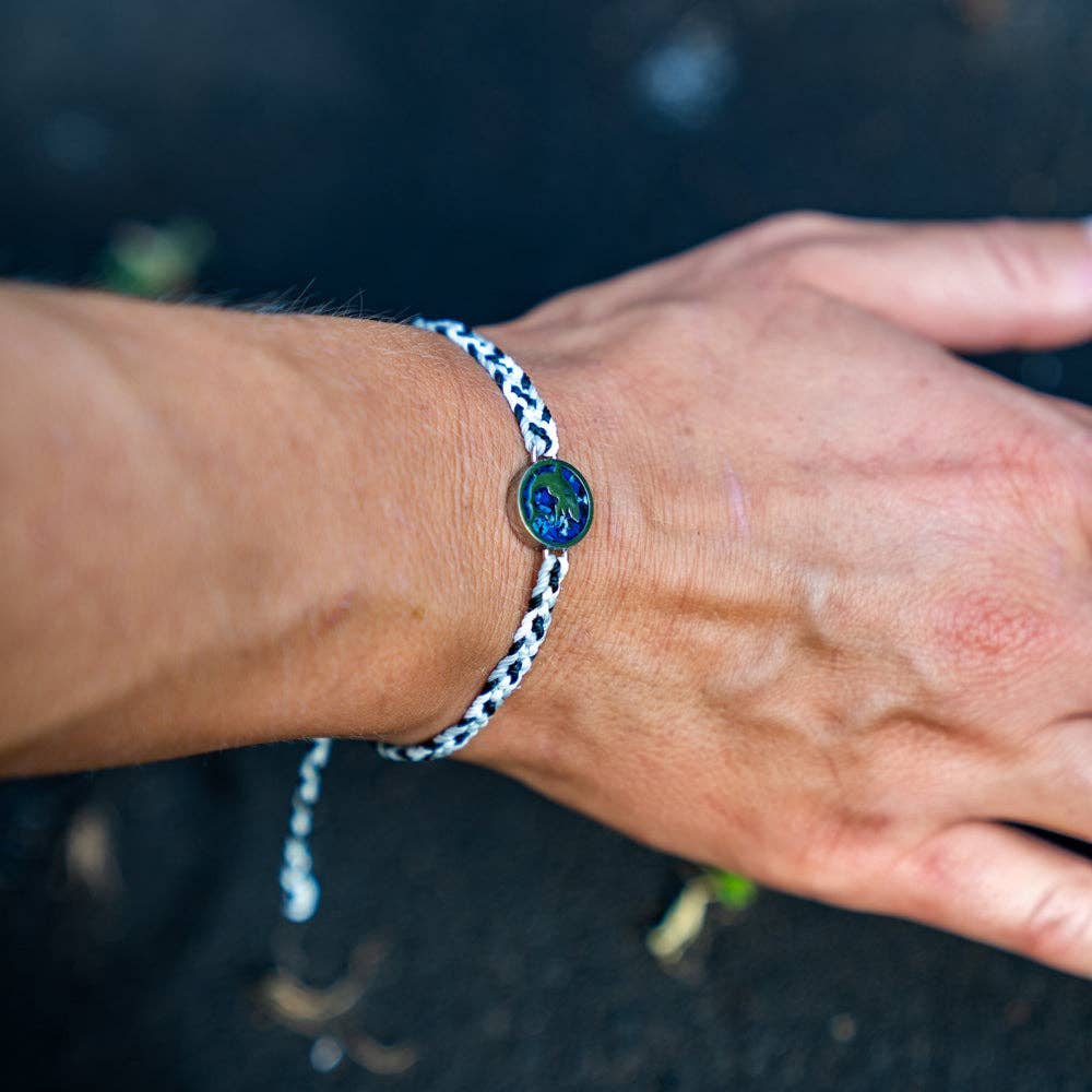 4ocean – wholesale Vävt/flätat armband – 4ocean Mikroplastik Armband - Haj [6-pack]1