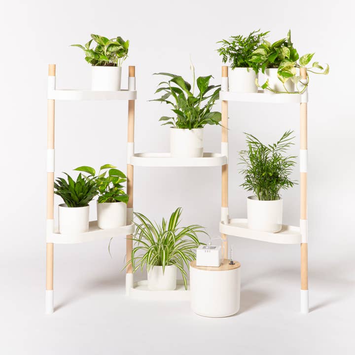 CitySens - Vendita all'ingrosso Mensole da parete - CitySens scaffali modulari per piante con sistema di autoirrigazione14