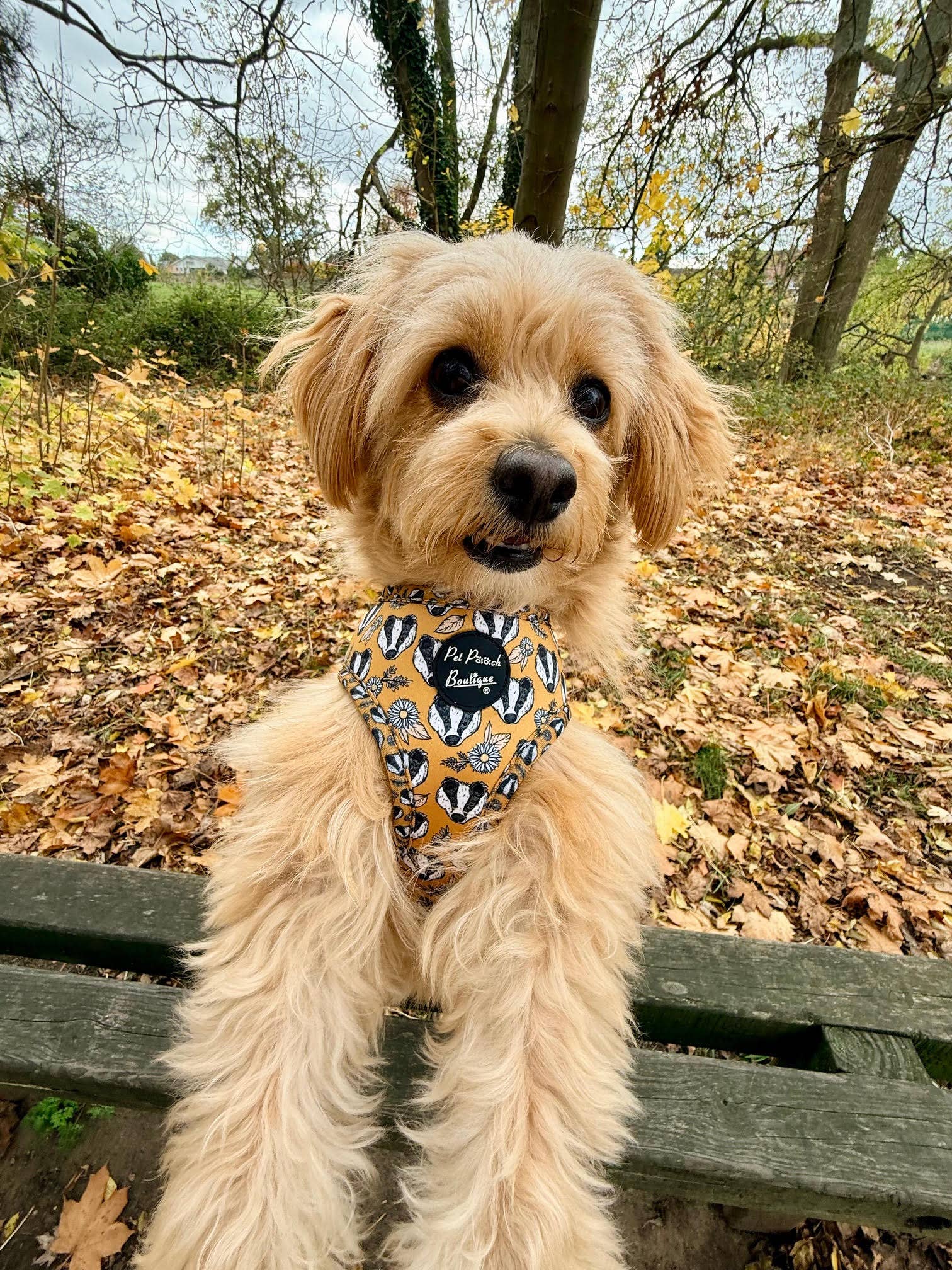 Pet Pooch Boutique – wholesale Pet harness – Dog – Woodland Badger Puppy Dog Harness (Autumn/mustard yellow)17