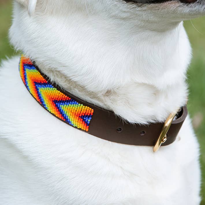 Pet Collar for wholesale by BeadWORKS