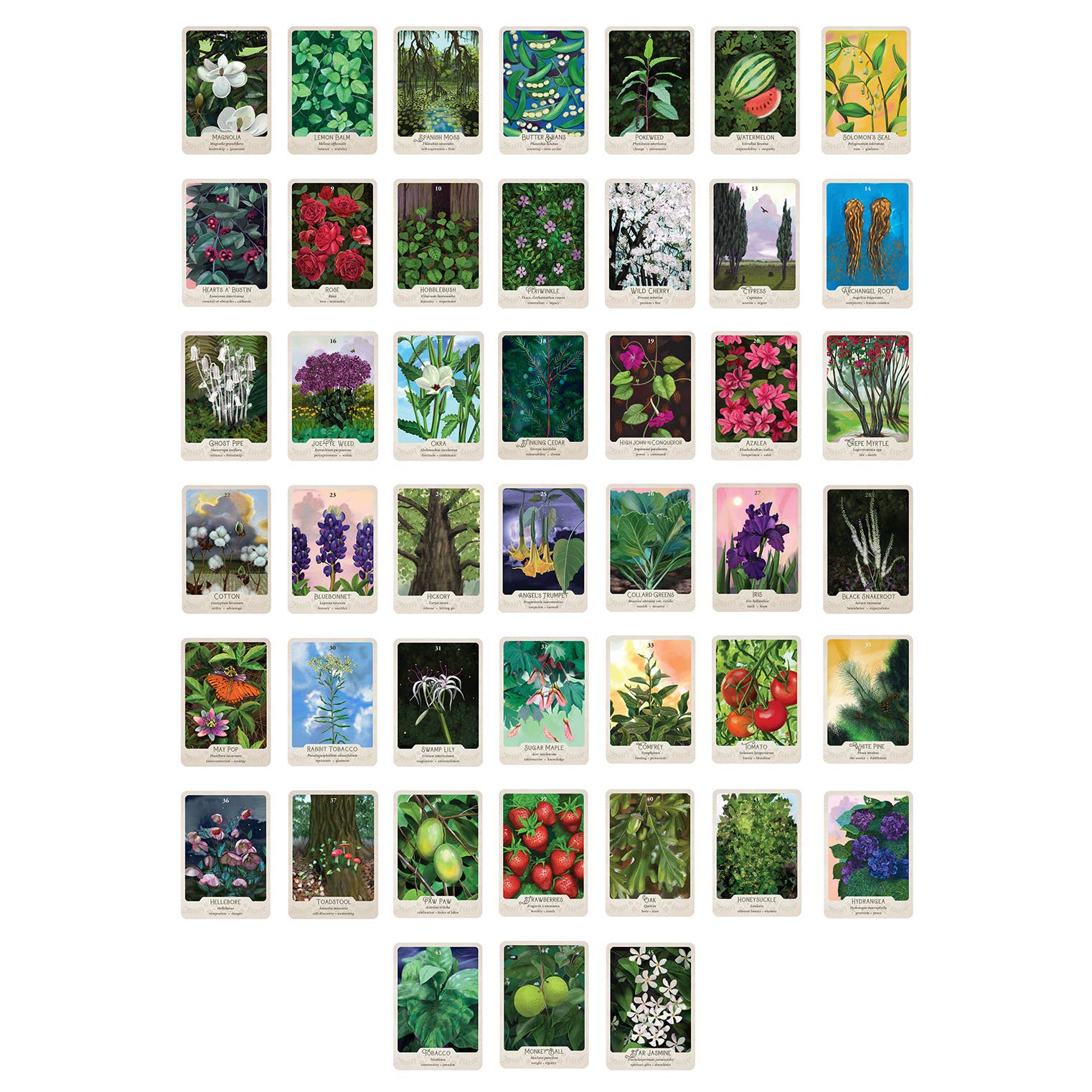 La Panthère Studio - Wholesale Tarot Cards - The Southern Botanic Oracle2