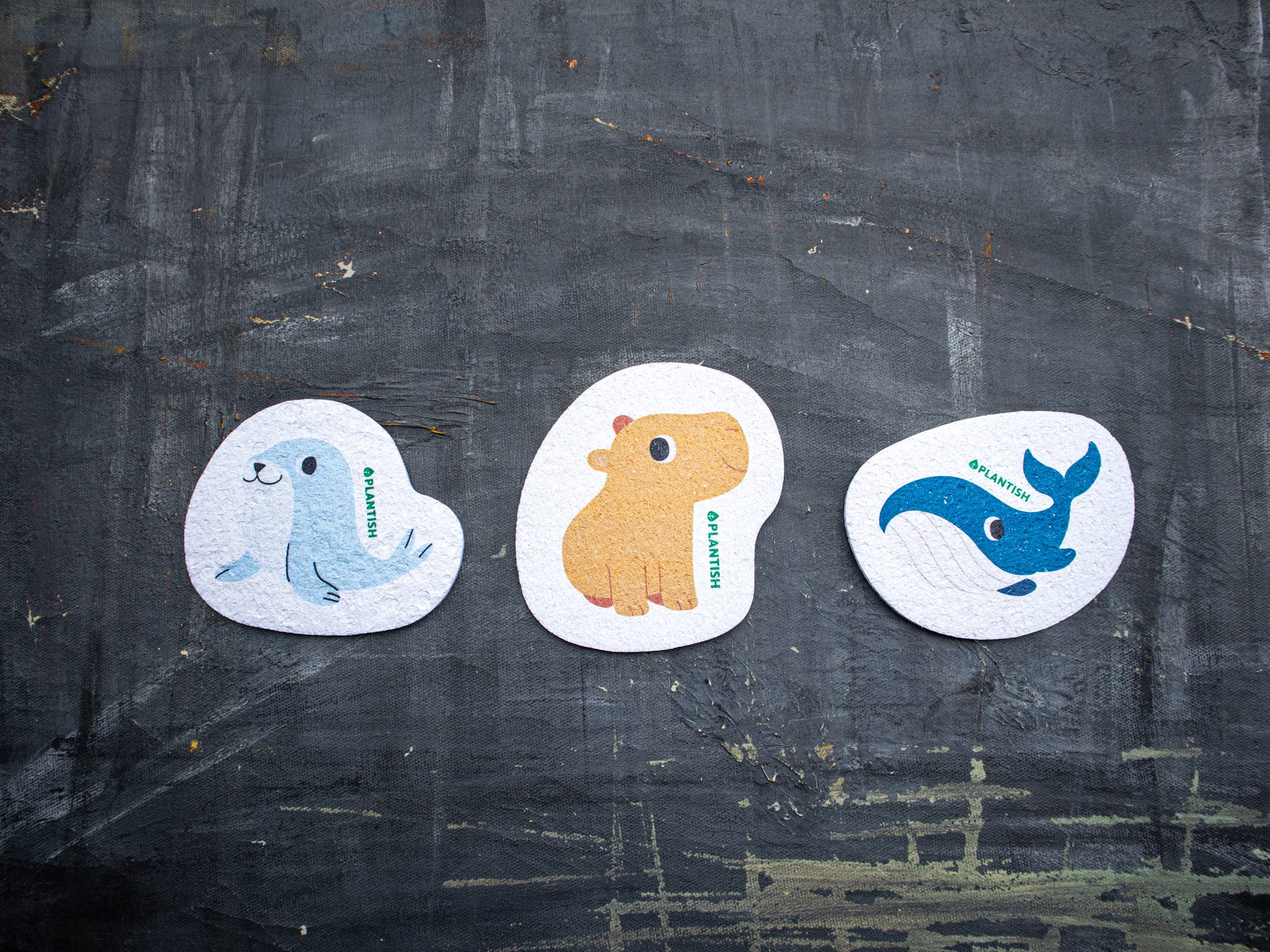 Plantish - Wholesale Cleaning Sponge - Whale - Pop up Sponge1