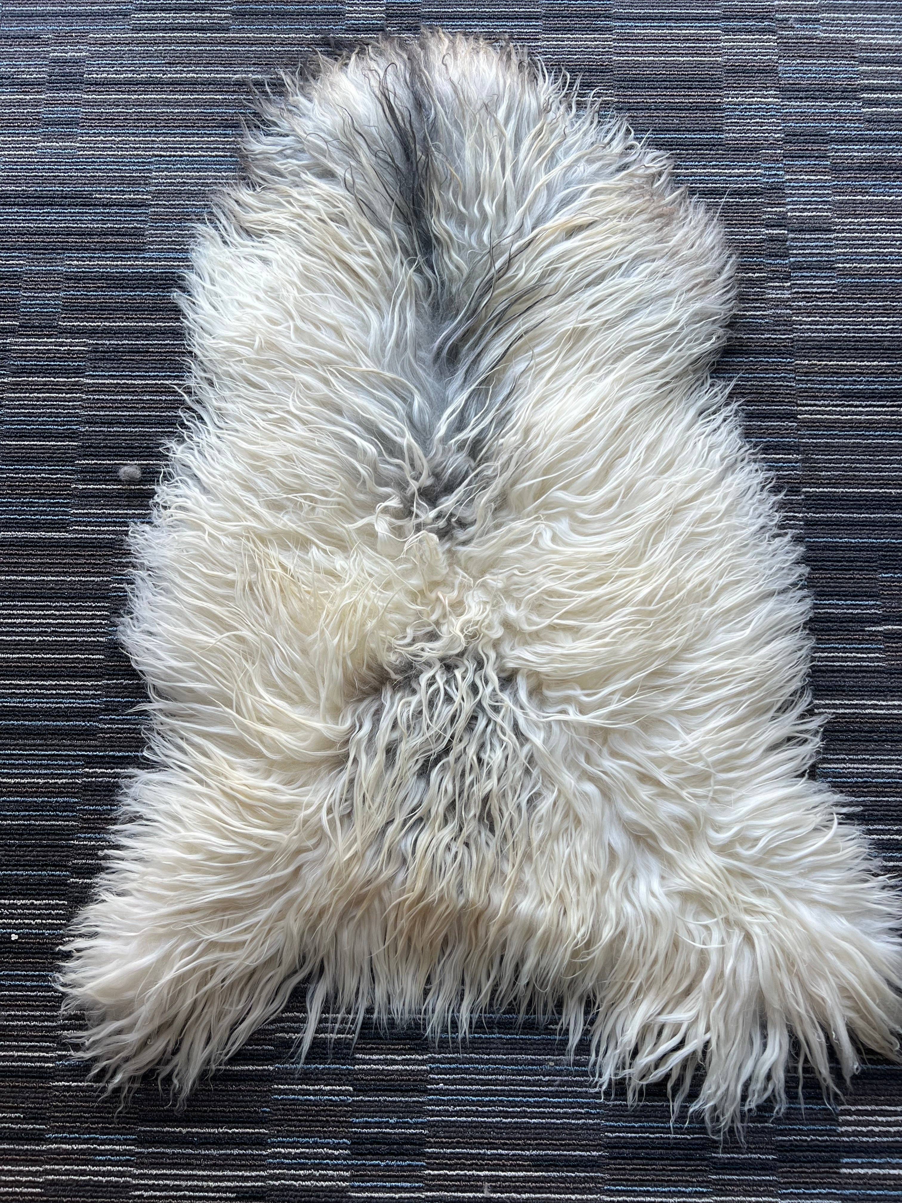 WeeSkins Holland – Engroshandel Løst tæppe – Islandsk lammeskind, stilfuldt og krøllet7