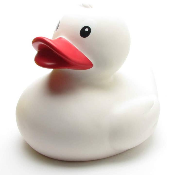 Canard en caoutchouc XXL (blanc) - Canard en caoutchouc pour la vente par Duckshop