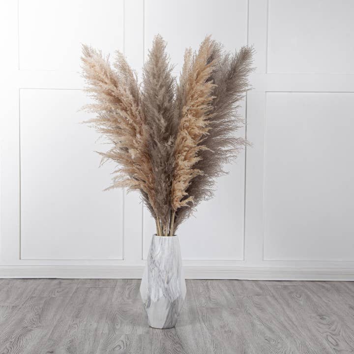 Mollie Sophia Ltd - Wholesale Dried/Pressed Flowers - Large Pampas Grass Dried Flowers Fluffy Pampas Collection