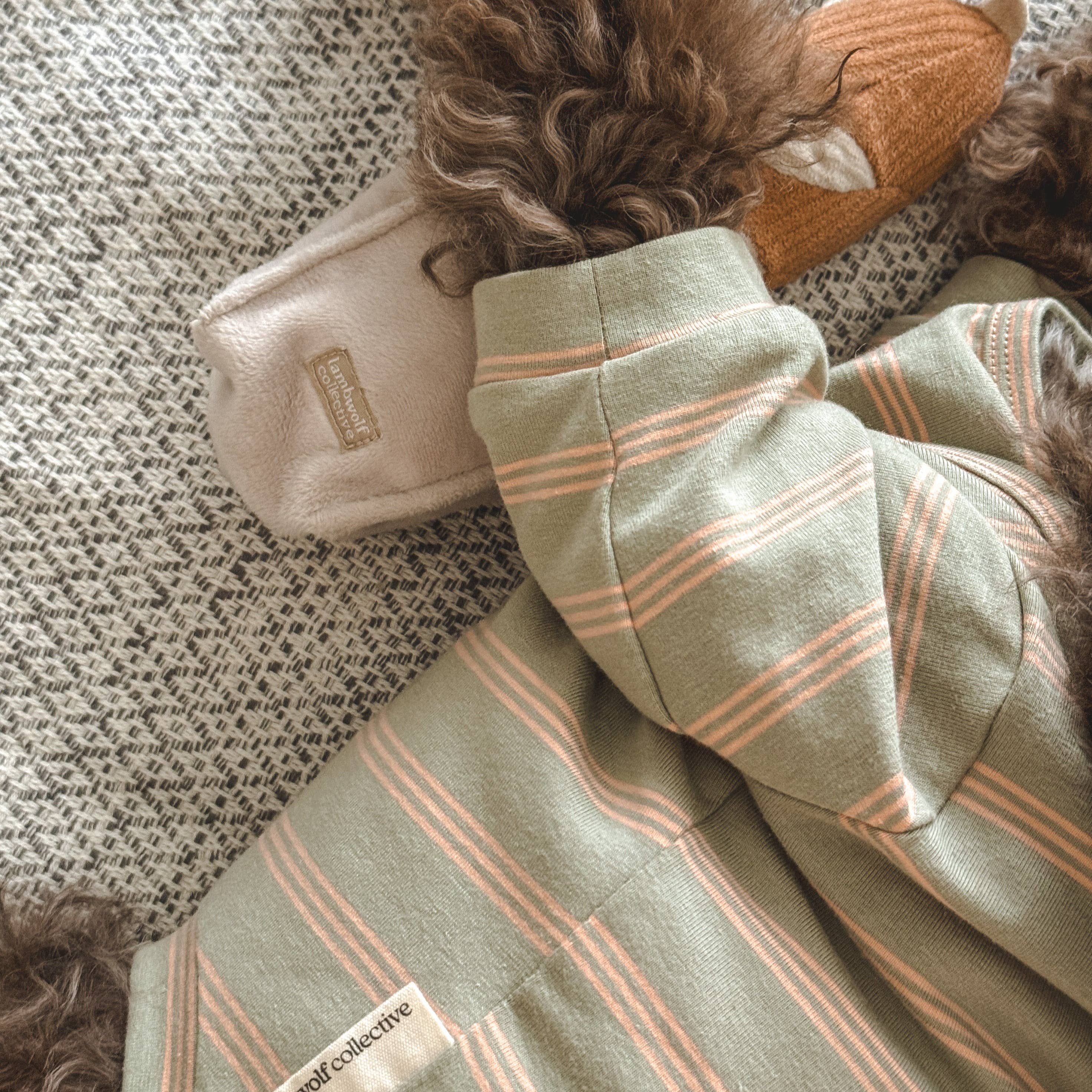 Lambwolf Collective - Wholesale Pet Shirt - Dog - CHELSEA // Dog Apparel// Dog Tee2