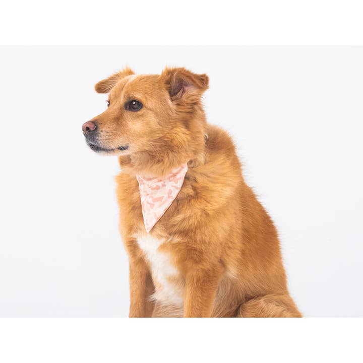 French Bandit - Vente Bandana – chien - Bandana pour chien camouflage sable2