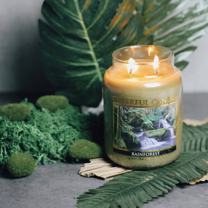 A Cheerful Giver – wholesale Jar/filled candle – Cheerful Candle (24oz.) – Rainforest