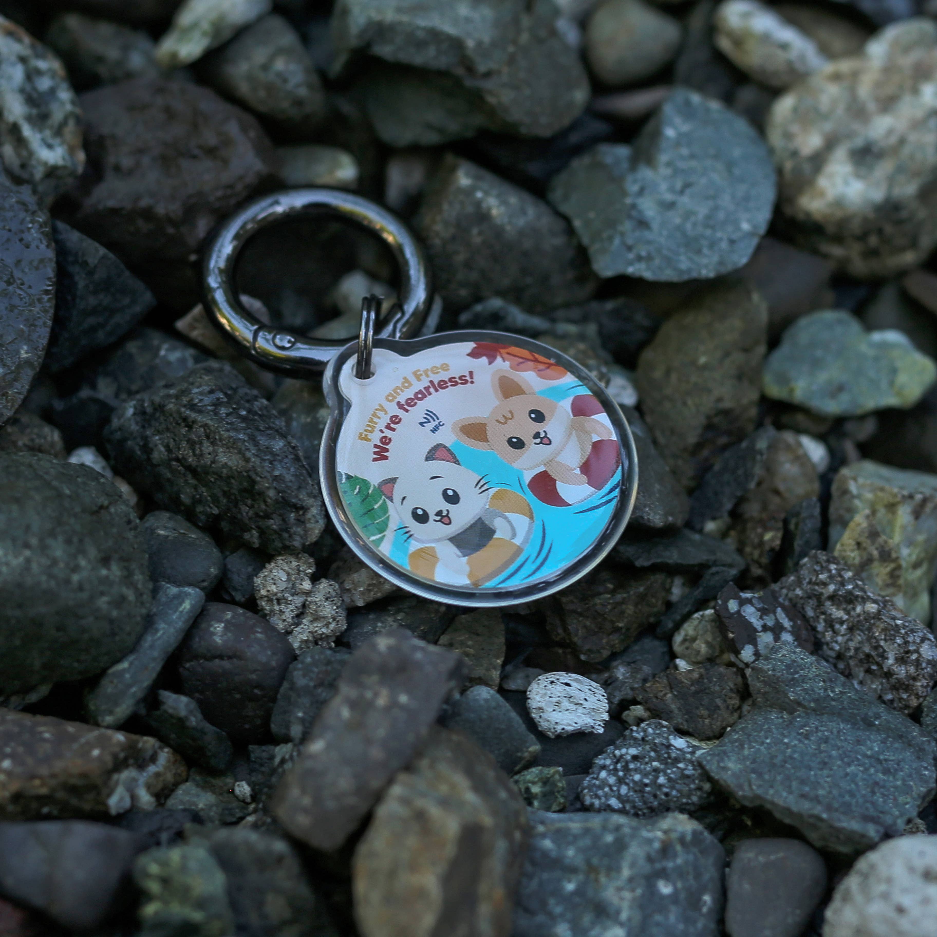 Pawnec - Wholesale Pet Identification Tag - Cat/Dog - IndieTag "Glow n Go"15