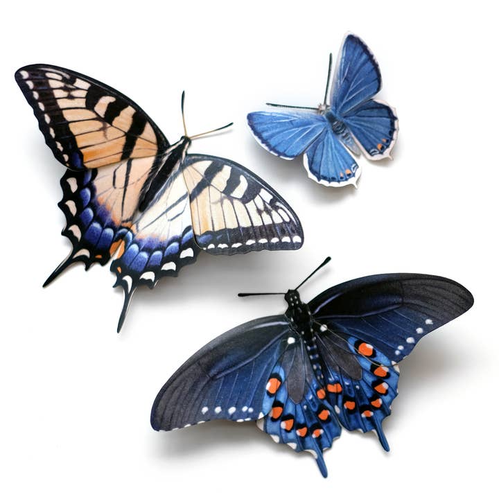 Ensemble de 3 papillons « Midwest » pour la vente par Moth and Myth