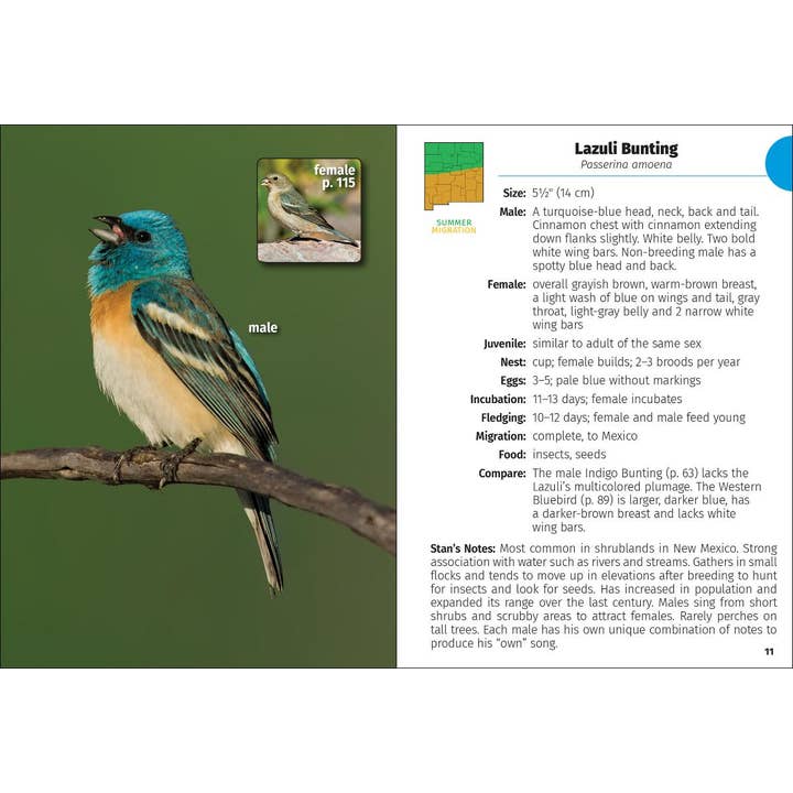 AdventureKEEN - Wholesale Nature Guide - Birds of New Mexico Field Guide 2e