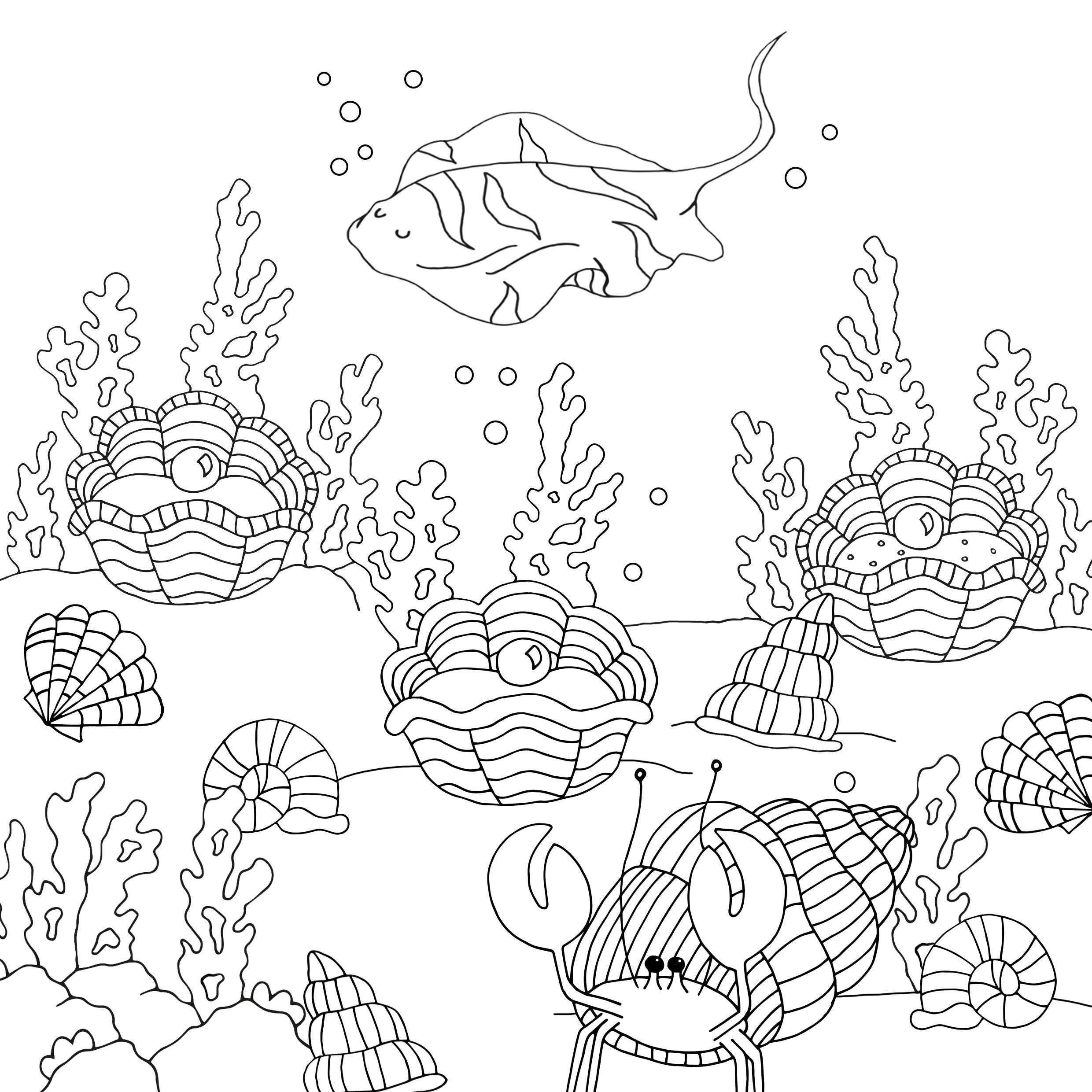 Neon Magpie – wholesale Colouring and activity book – kids and baby – Ocean Colouring Book2